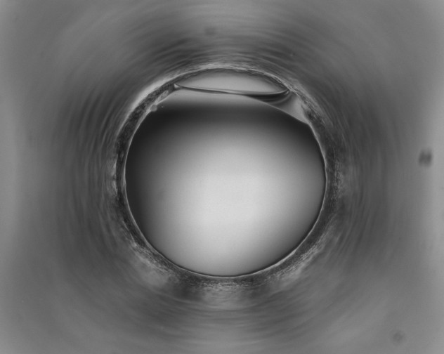 X0000091520830200708171215