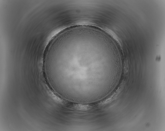 X0000091520831200708171215