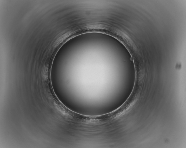 X0000091520833200708171215