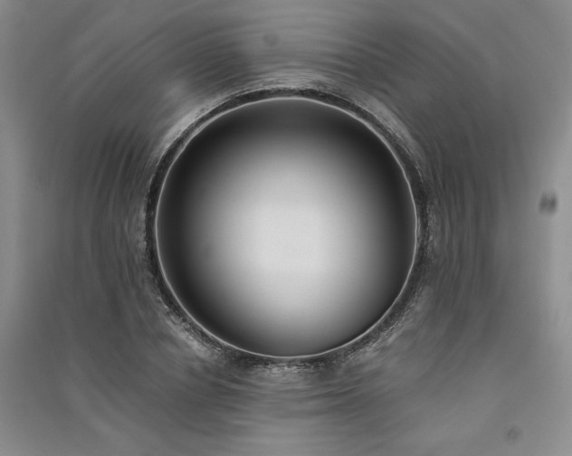 X0000091520834200708171215