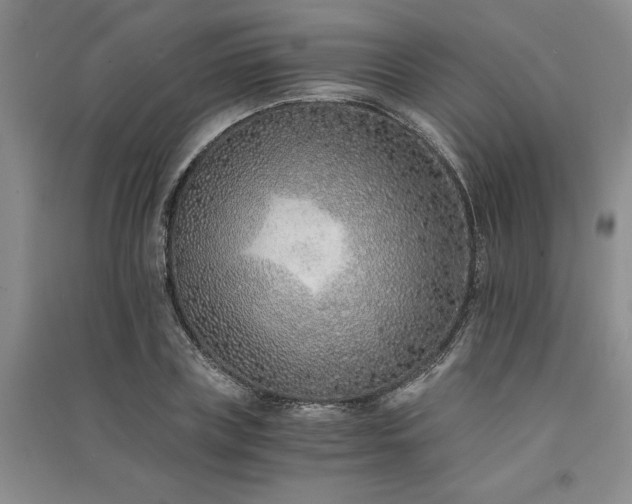 X0000091520835200708171215