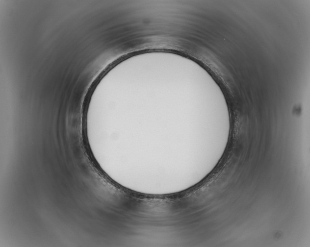 X0000091520836200708171215