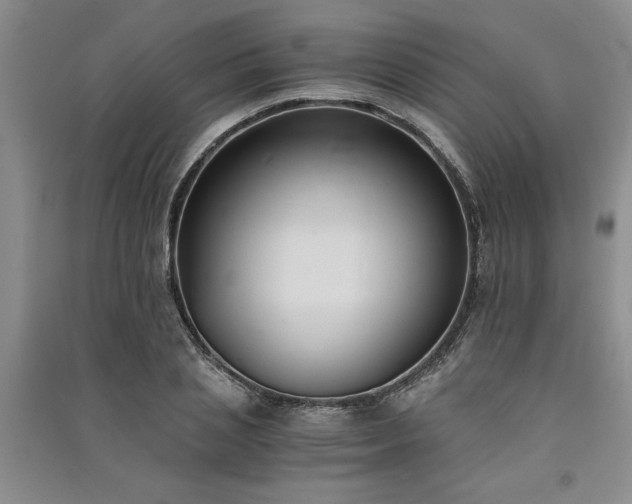 X0000091520837200708171215