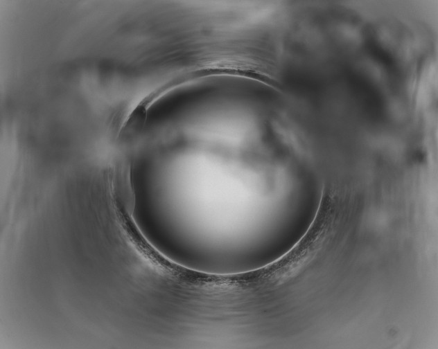 X0000091520838200708171215
