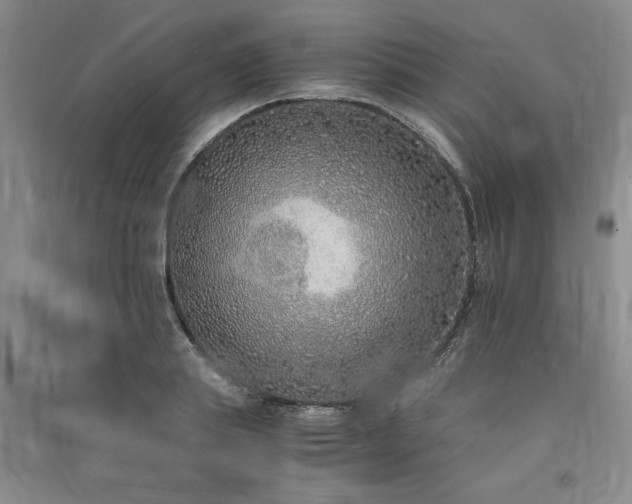 X0000091520839200708171215