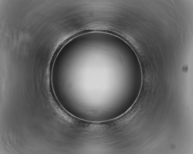 X0000091520840200708171215