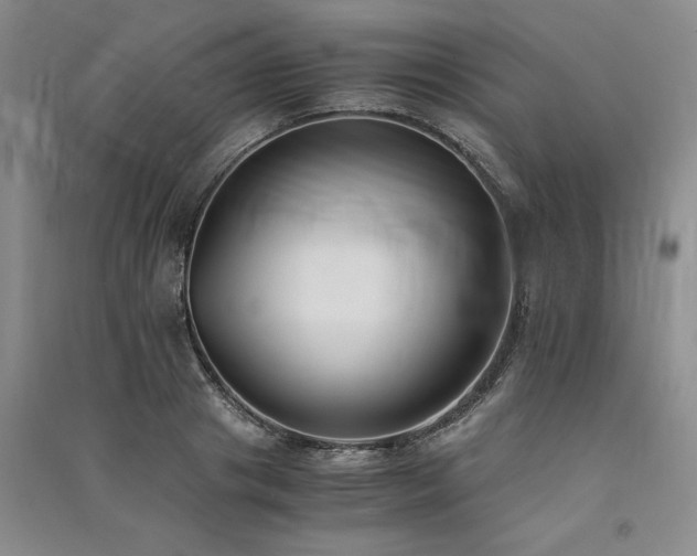X0000091520841200708171215