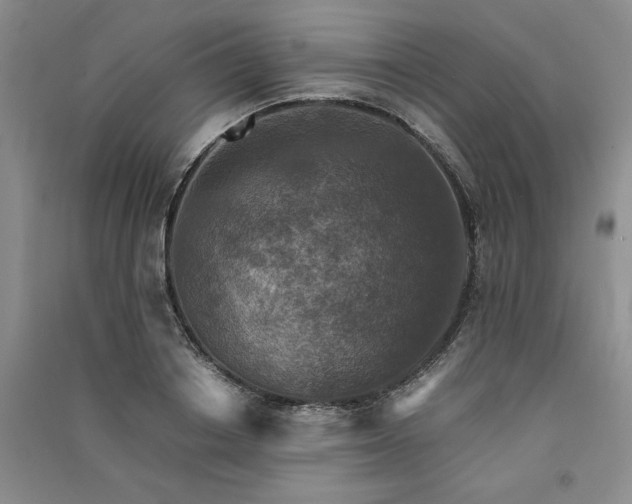 X0000091520842200708171215