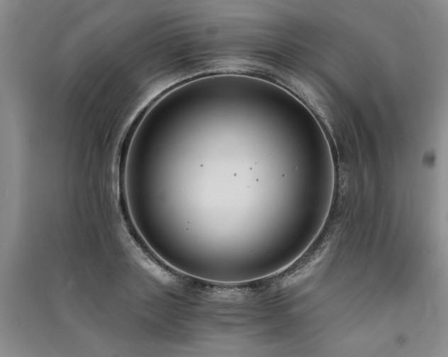 X0000091520843200708171215