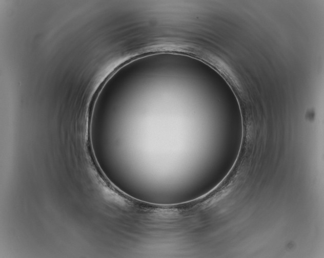 X0000091520844200708171215