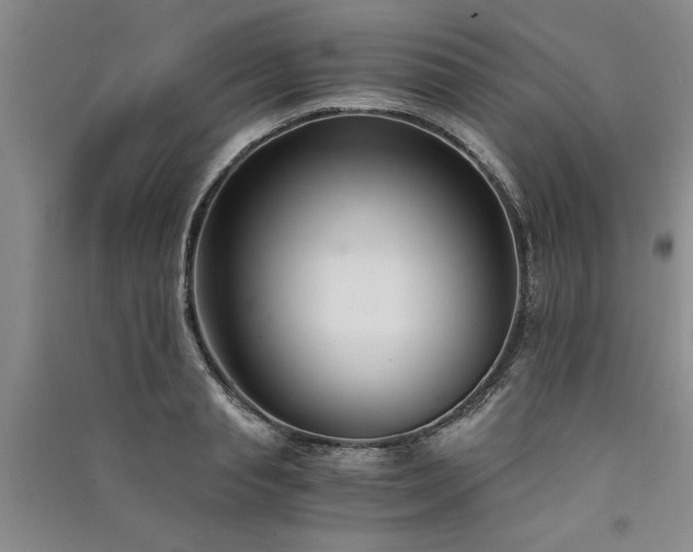 X0000091520845200708171215