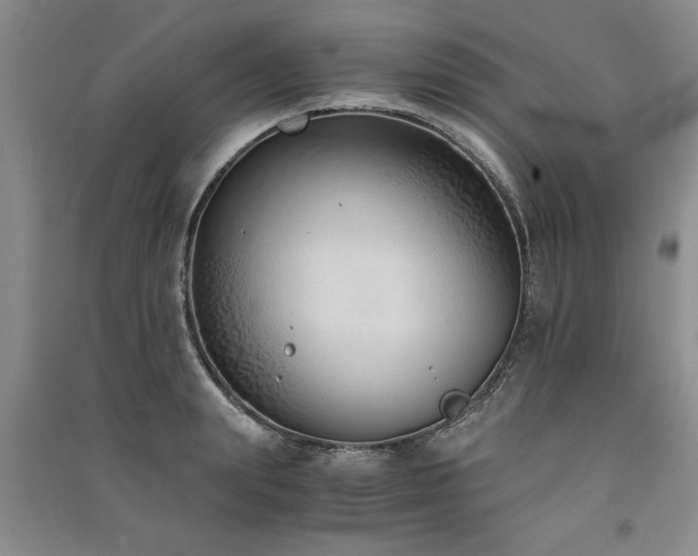 X0000091520847200708171215