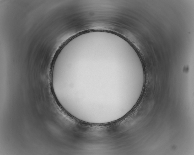 X0000091520848200708171215