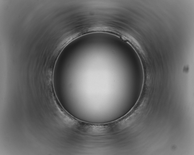X0000091520849200708171215