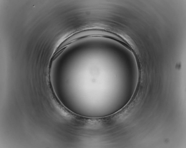 X0000091520850200708171215