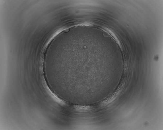 X0000091520851200708171215