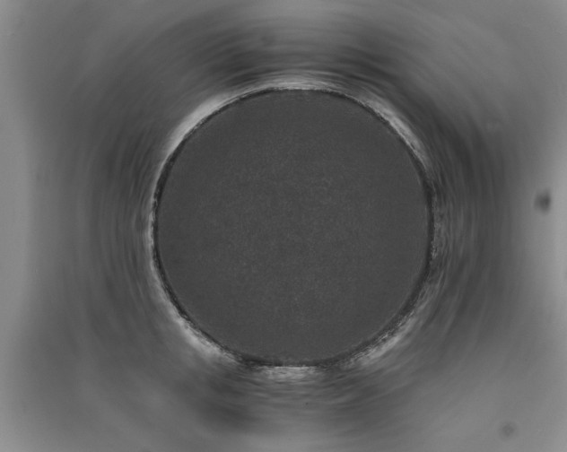 X0000091520853200708171215