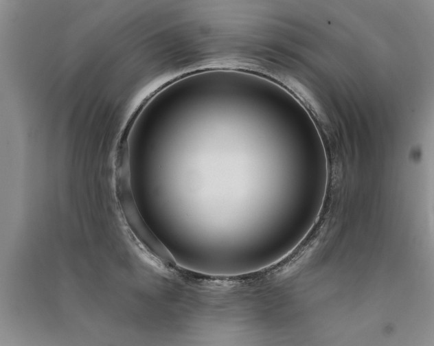 X0000091520854200708171215