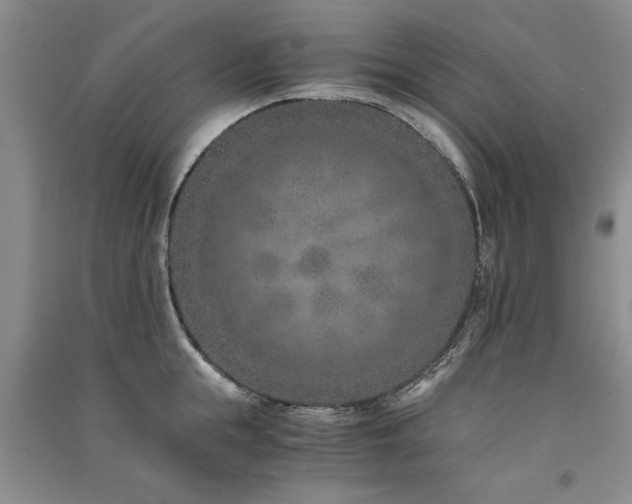 X0000091520855200708171215