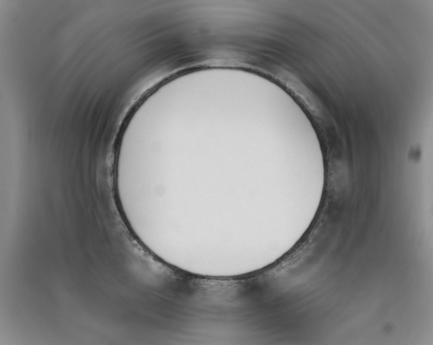 X0000091520856200708171215