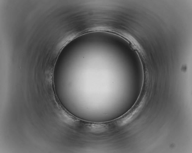 X0000091520857200708171215