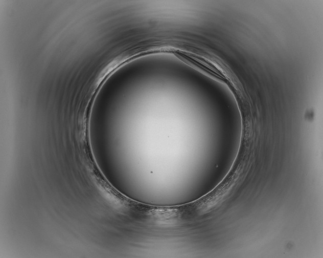 X0000091520858200708171215