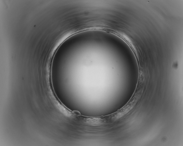 X0000091520859200708171215