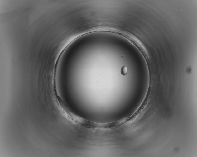 X0000091520860200708171215