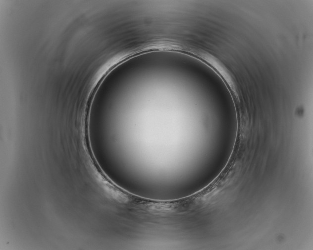 X0000091520861200708171215