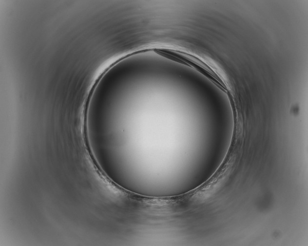 X0000091520862200708171215