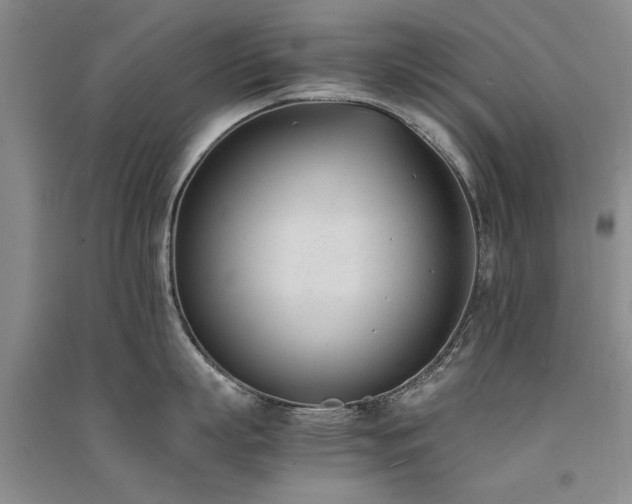 X0000091520863200708171215