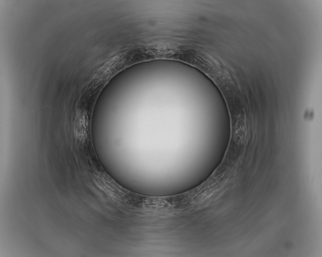 X0000091520866200708171214