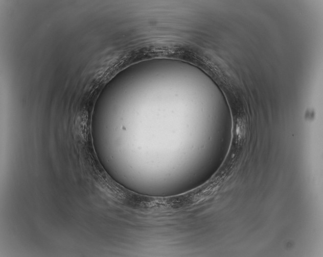 X0000091520867200708171214