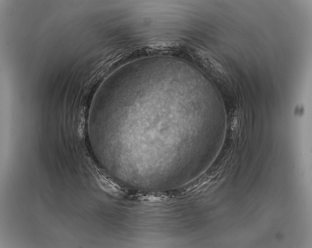 X0000091520868200708171214