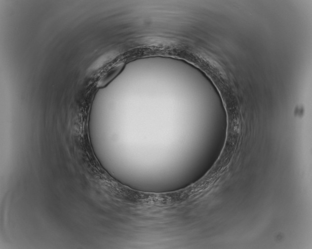 X0000091520869200708171214