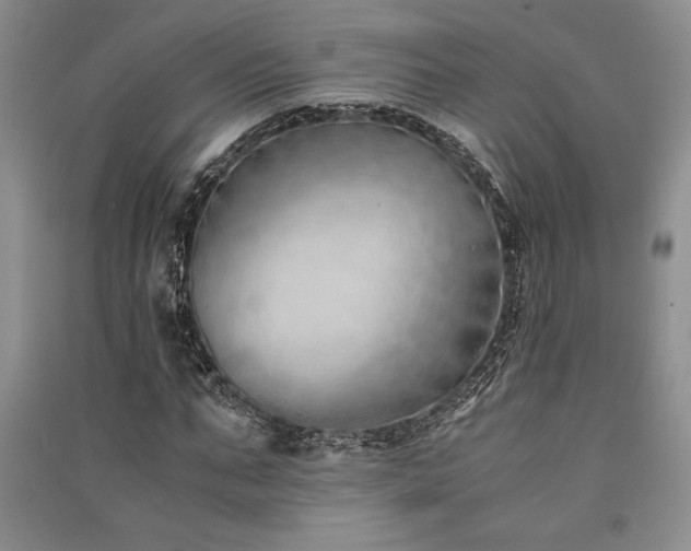 X0000091520871200708171214