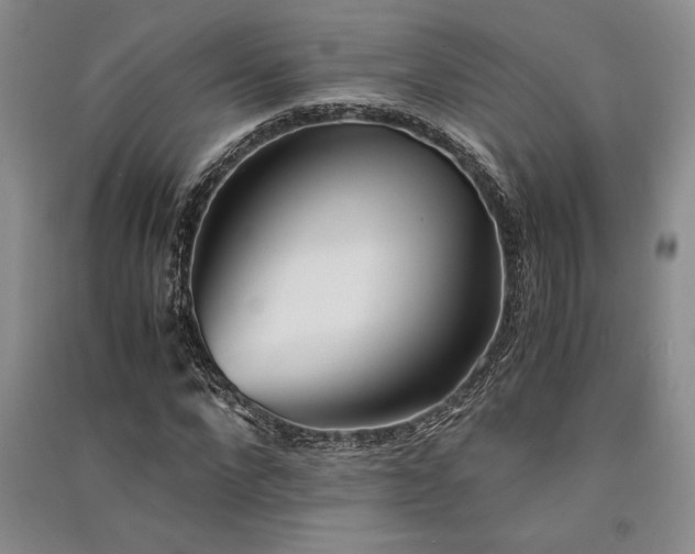 X0000091520872200708171214