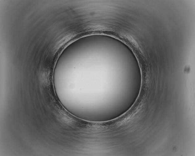 X0000091520873200708171214
