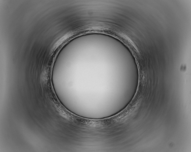 X0000091520874200708171214