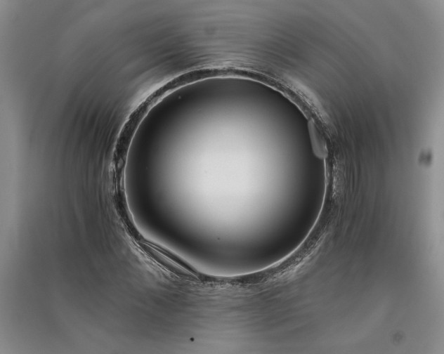 X0000091520876200708171214