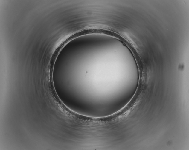 X0000091520877200708171214
