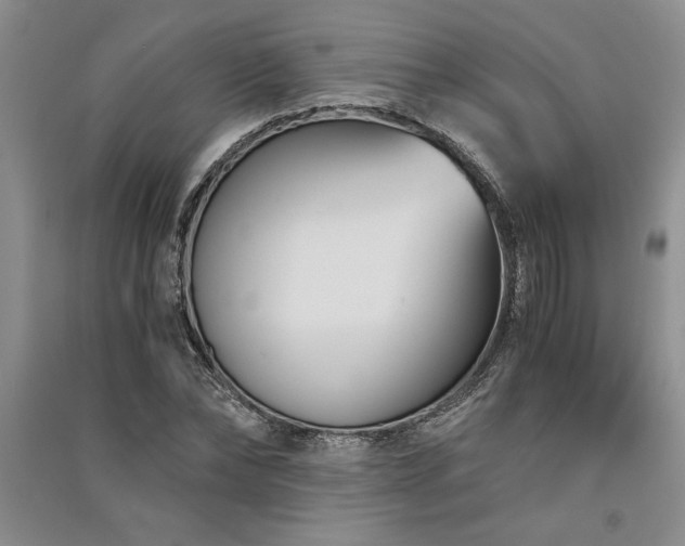 X0000091520878200708171214