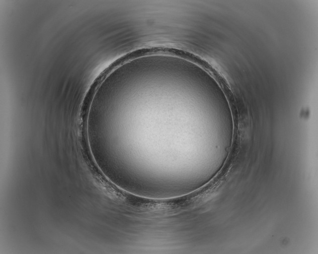 X0000091520879200708171214