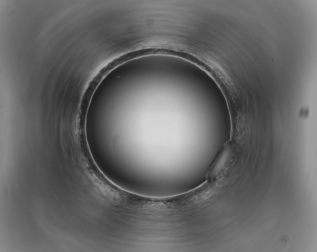 X0000091520880200708171214
