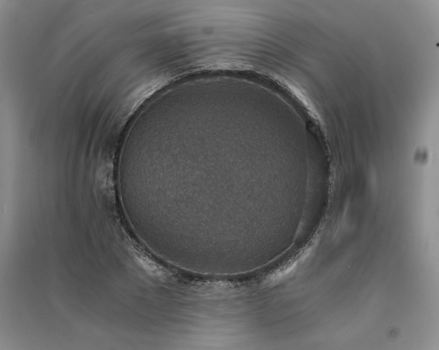 X0000091520881200708171214