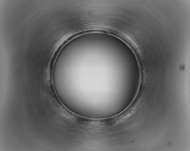 X0000091520883200708171214