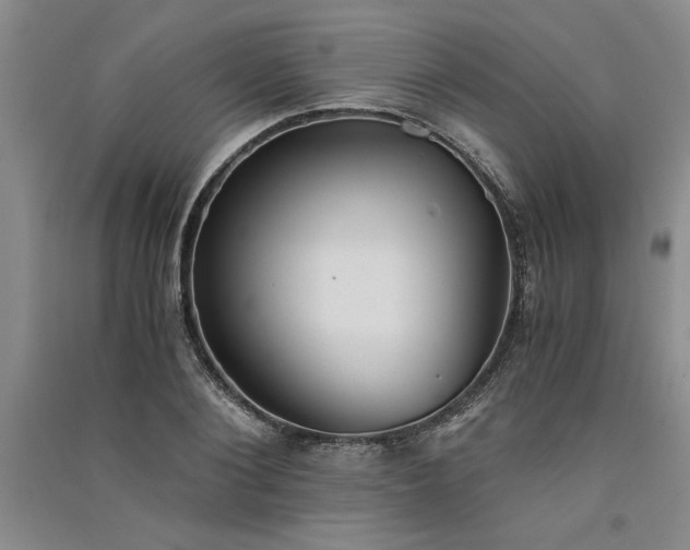 X0000091520884200708171214