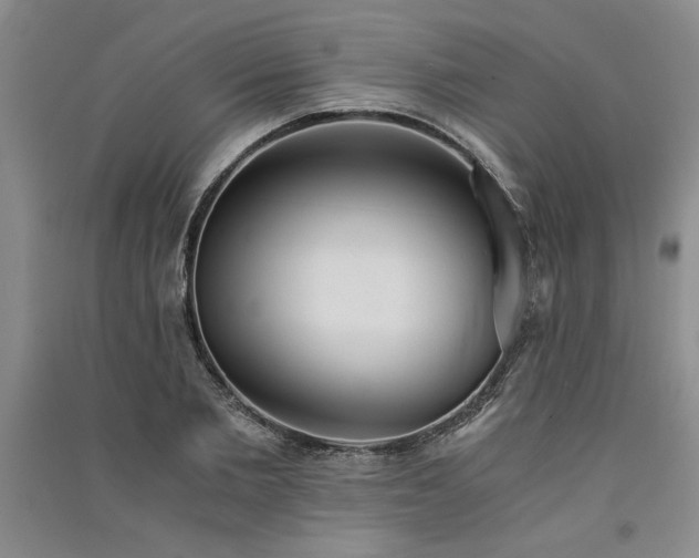 X0000091520885200708171214