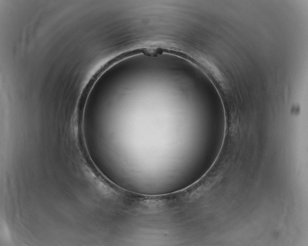 X0000091520888200708171214