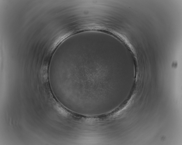 X0000091520889200708171214
